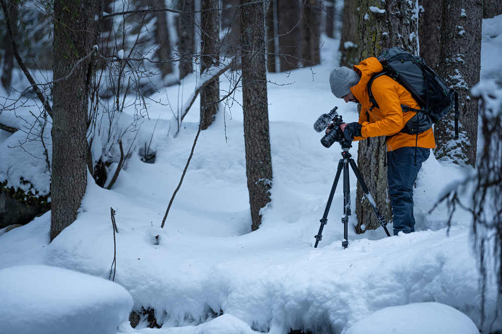 El micrófono SYNCO D30 para grabación de campo se utiliza para capturar sonidos de la naturaleza en bosques nevados.