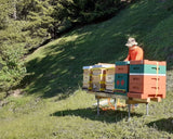 Bienenstand der Imkerei Arnet Scherrer in Klosters