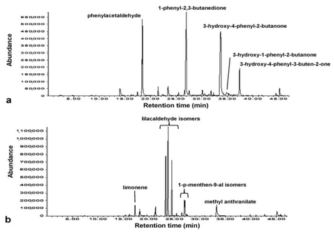 Gaschromatographie-Massenspektrometrie von Thymian-Honig verglichen mit Zitrus-Honig