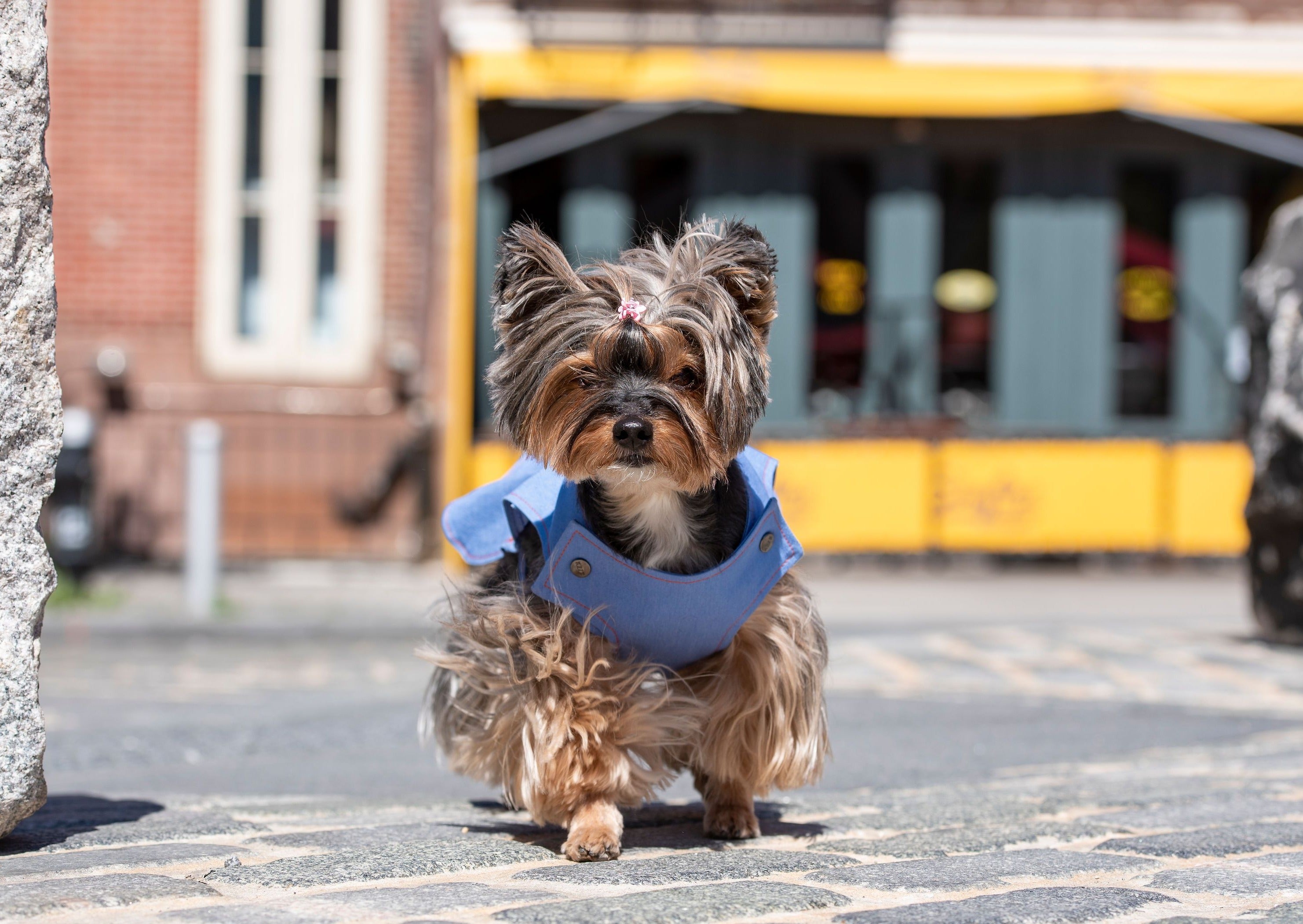 ホワイトブラウン リメイクドッキングパンツ dog原宿 - ワークパンツ