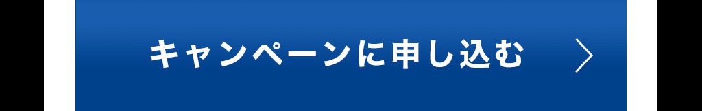 WPパウチキャンペーンLP02