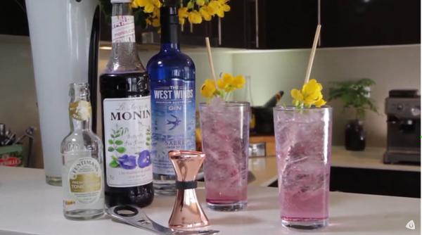 Butterfly Pea Gin and Tonic