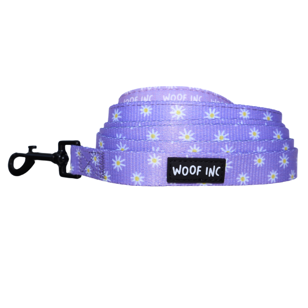 Purple Daize Lead - SOLD OUT