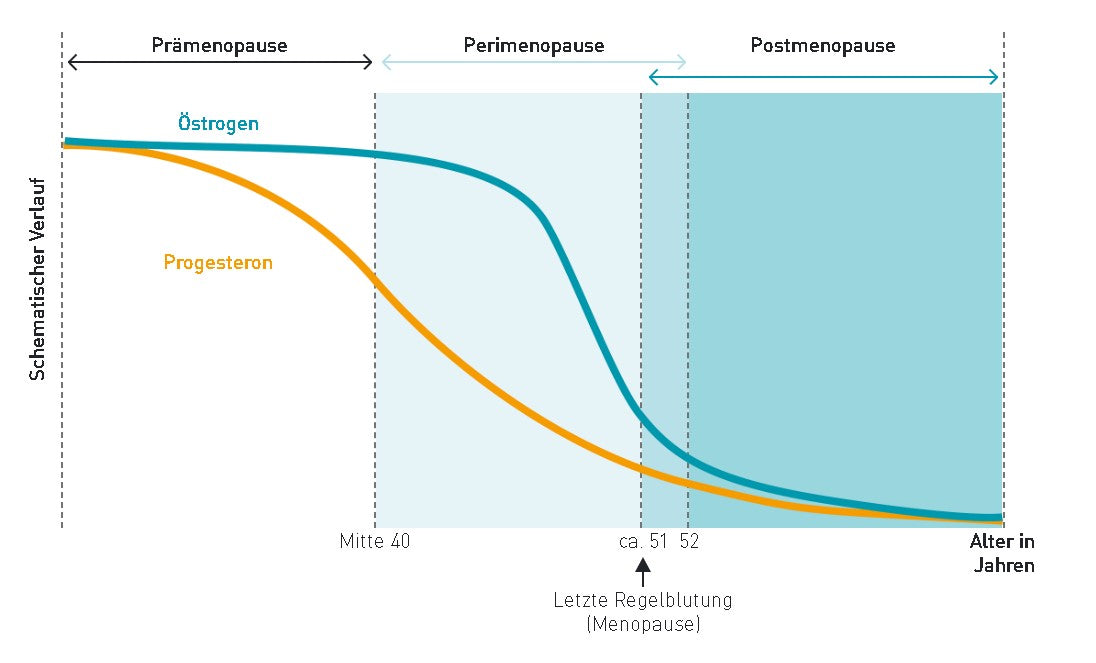 Grafik, die denn Abfall des Östrogenspiegels während der Wechseljahre darstellt