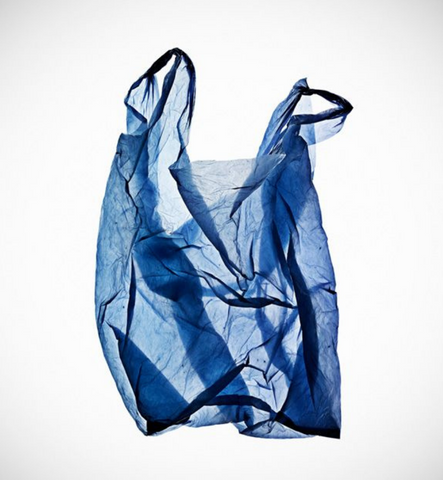 Blue Plastic bag on Elysian Theory