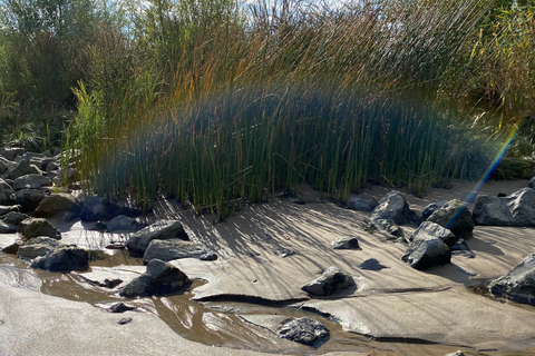 Photo of a small rainbow in nature, sand and stone, Shot by Elysian Theory