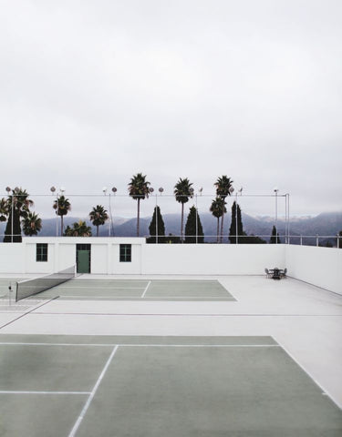 Image of a couple of tennis courts with a backdrop of a moody sky and lined palm trees