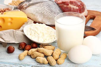 Various sources of protein foods