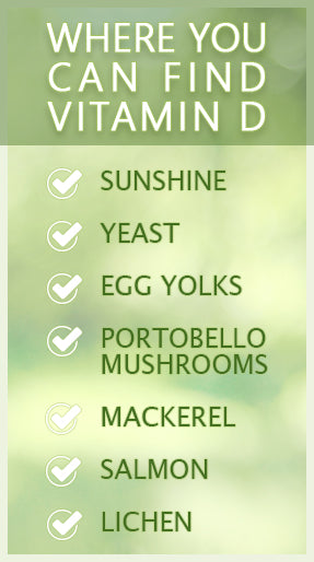 where-can-you-find-vitamin-d