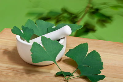 ginkgo biloba leaves on ceramic bowl