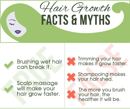 Hair growth facts and myths infographic