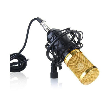 Professional Upgraded Legendary Vocal Condenser Microphone