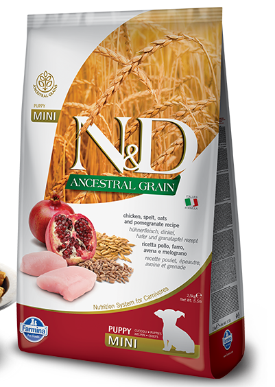 n&d ancestral grain