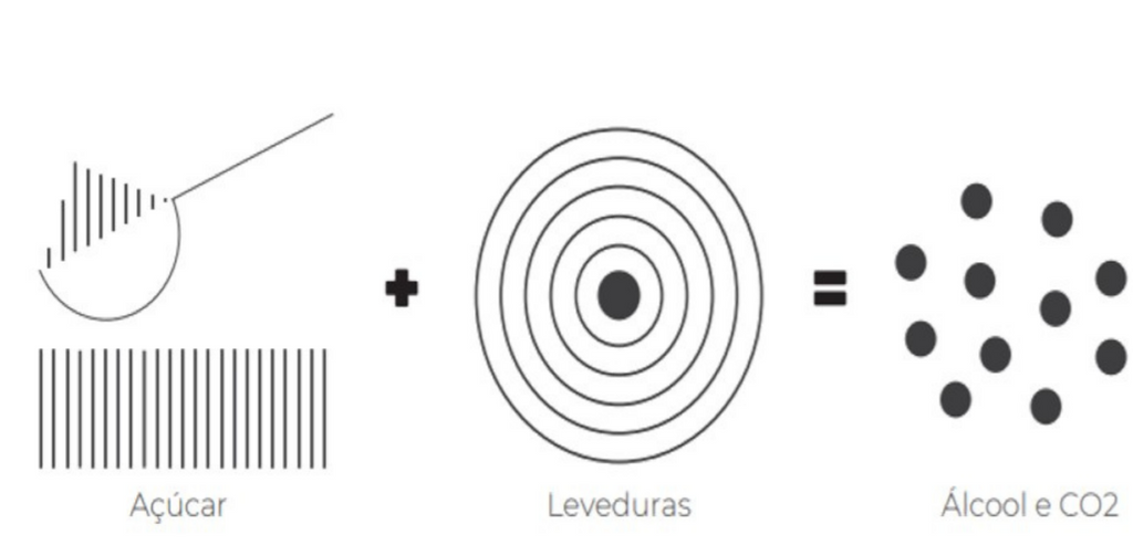 Gaseificação da kombucha