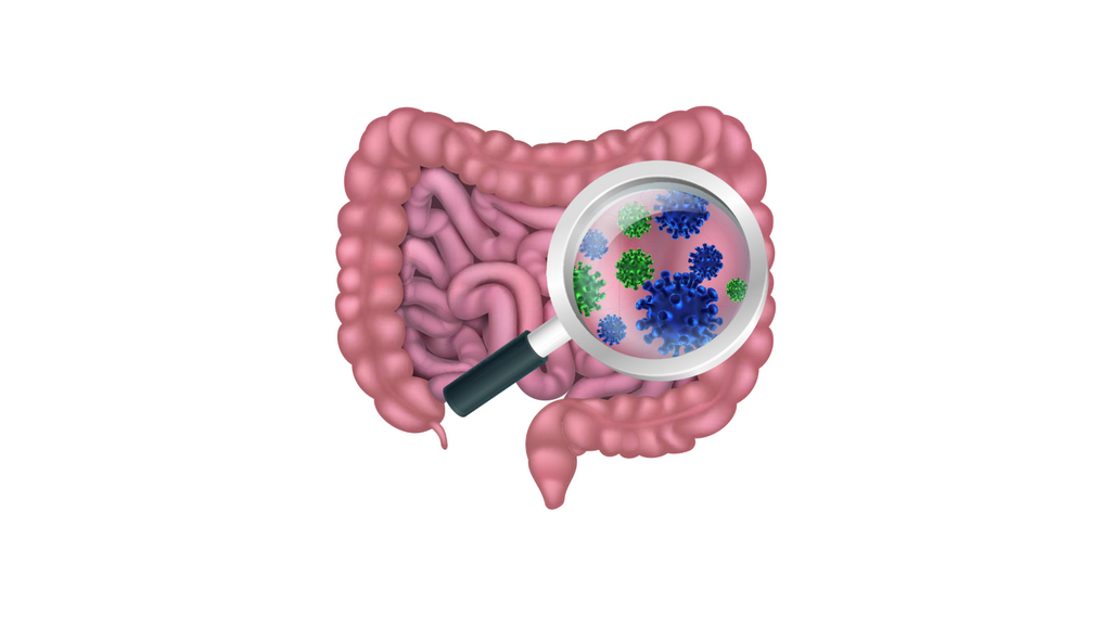 Probióticos - Saúde gastrointestinal