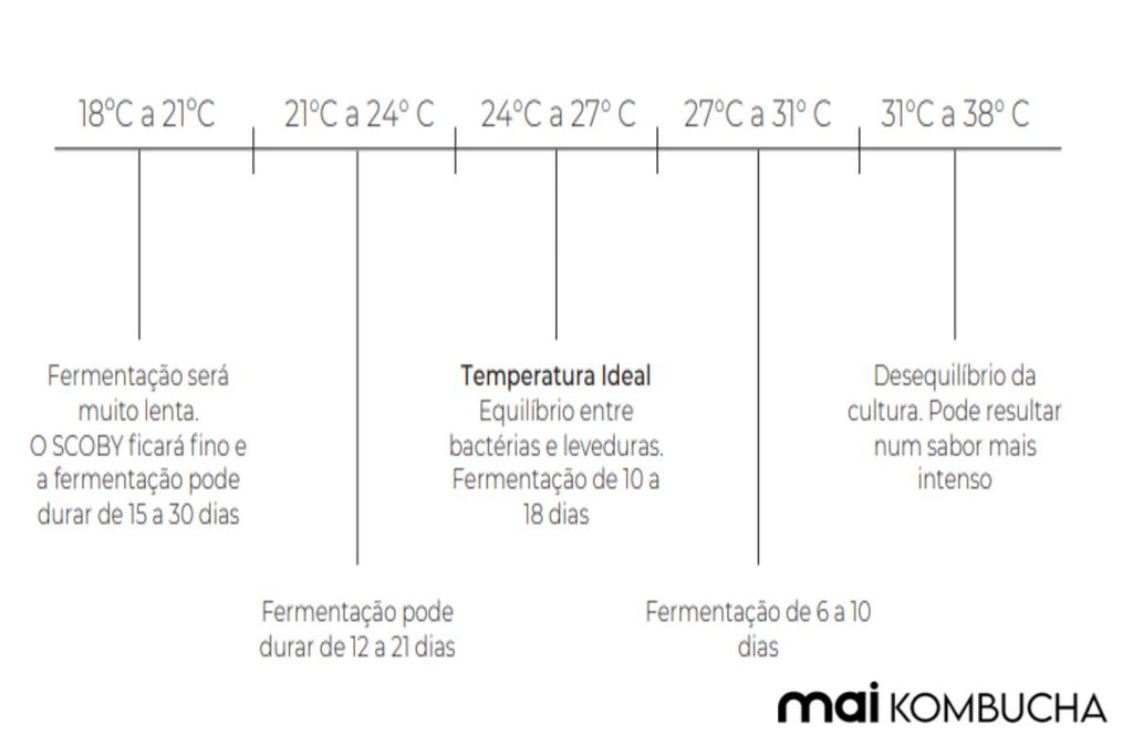 Tempos de Fermentação da Kombucha