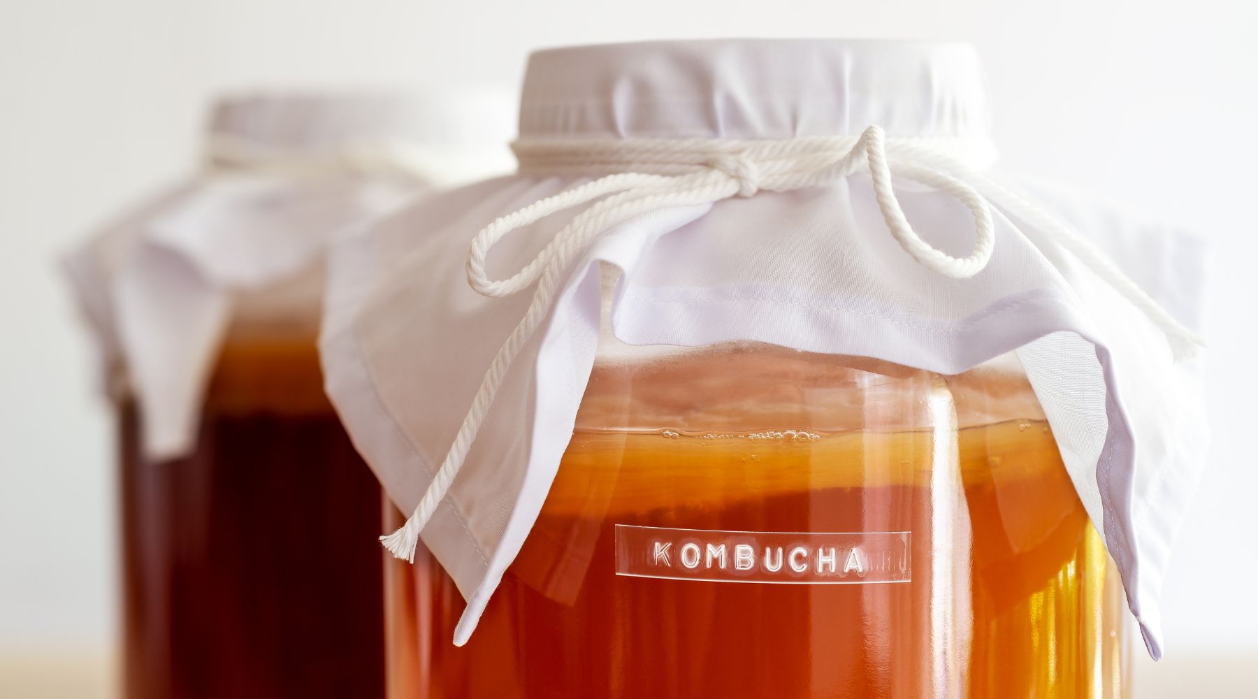 kombucha