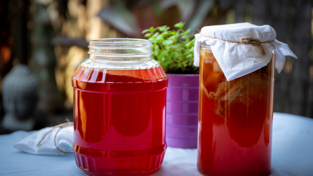 2 frascos de kombucha com um scoby.