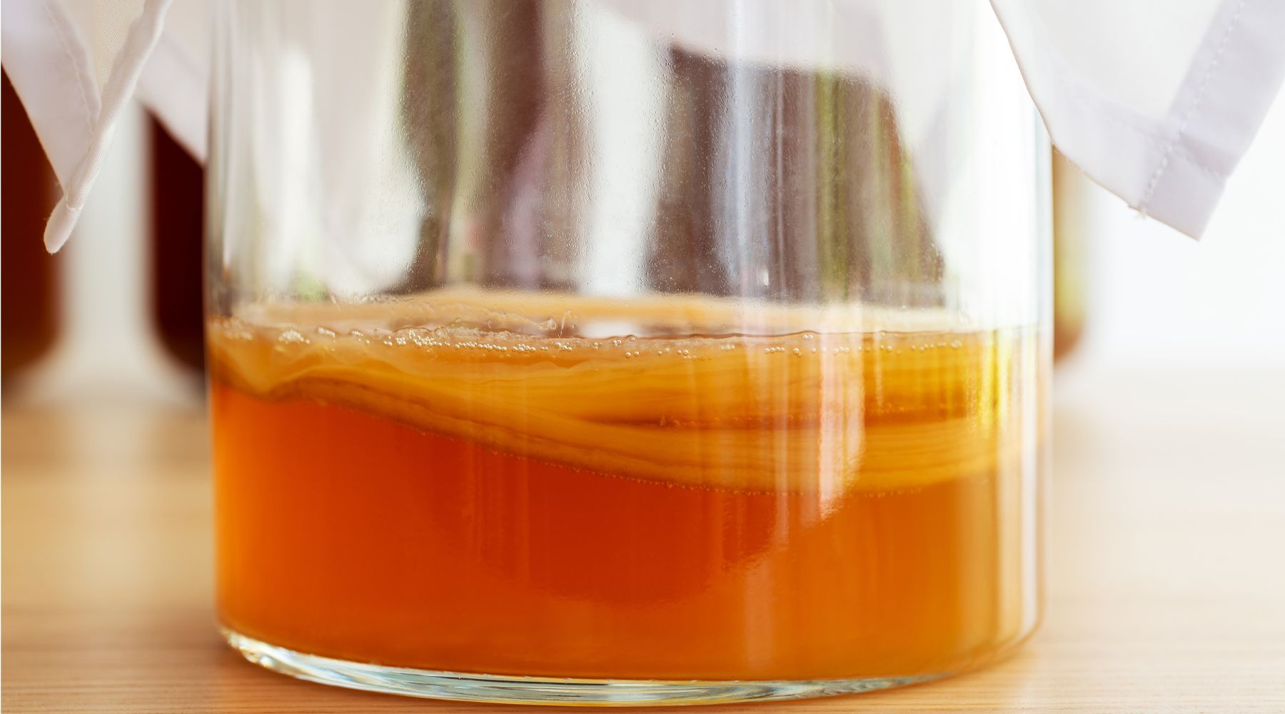 kombucha organica