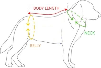 Dog Measurement Diagram