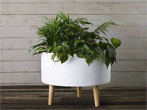 Parkview Planter brings your space a low profile, smooth white ceramic planter with attached wooden legs.  Sits nicely on a table or the floor.  Dimensions: 15.50" x 15.50" x 12.25".