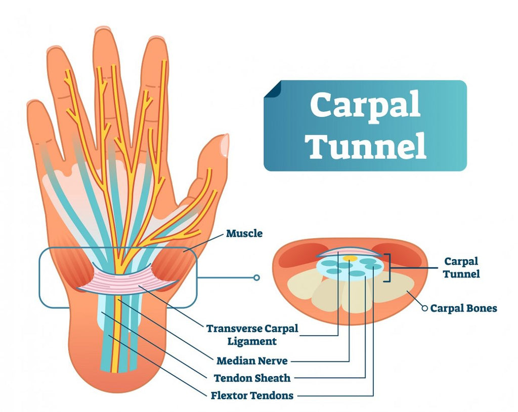 diagram of carpal tunnel