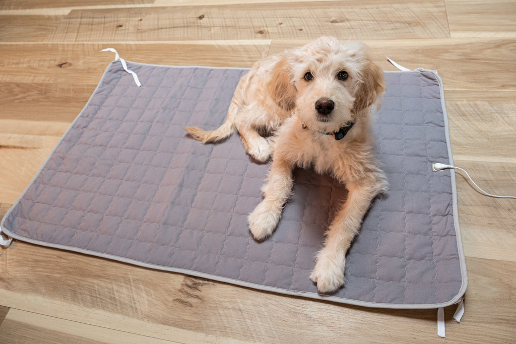 Earthing dog pet pad mat