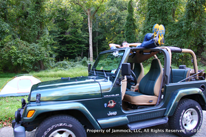 Jammock - the coolest accessory for your Jeep!