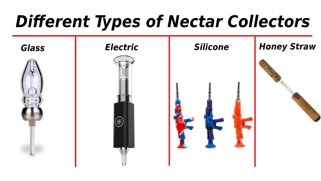 nectar definition for kids