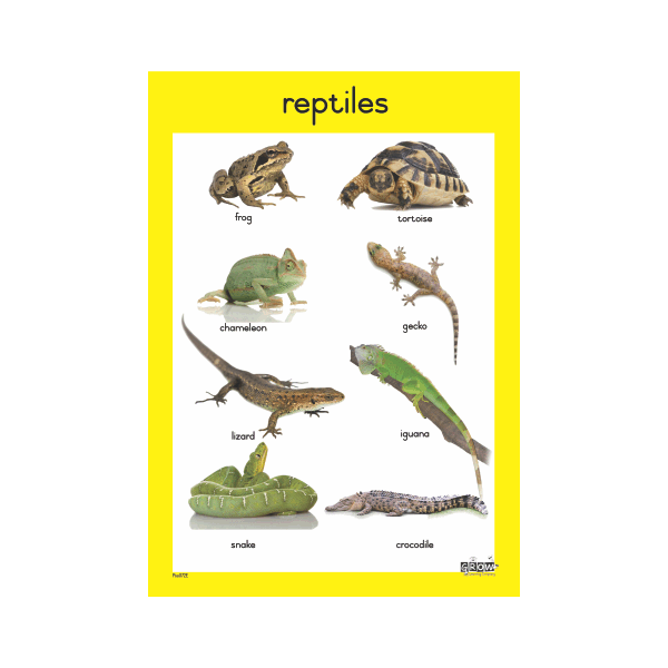 theme-reptiles-a3-single-chart-grow-learning-company