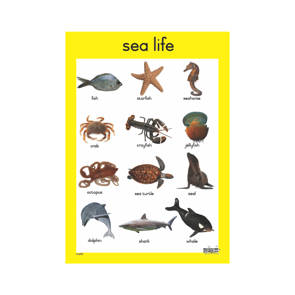 Theme - Sea Life - A3 Single Chart | Grow Learning Company