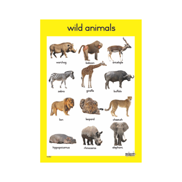 50+ Wild Animals Chart Image - Temal