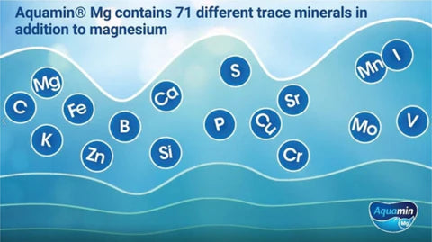 Aquamin Mg Additional Minerals Nootropic