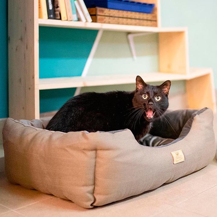 Sofá con cojín de tela resistente y terciopelo para perros y gatos. CH