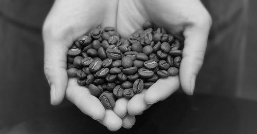Artigiano Coffee Beans