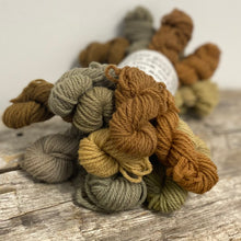Load image into Gallery viewer, Limited Edition Rainbow Mini Skeins Sets from Forage Color
