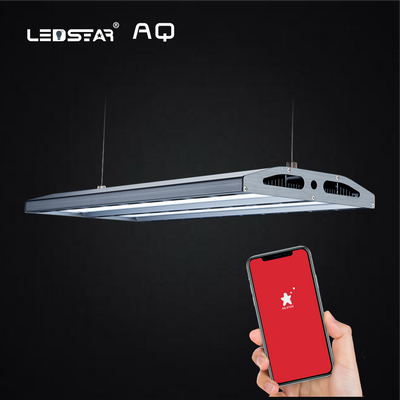 LEDSTAR AQ C RGB+W LED Light Bloomtanks