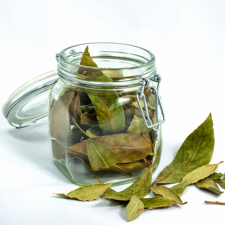 Лавровый лист оливковое масло. Лавровый лист. Чай из лаврового листа. Отвар лаврового листа. Настой из лавровых листьев.