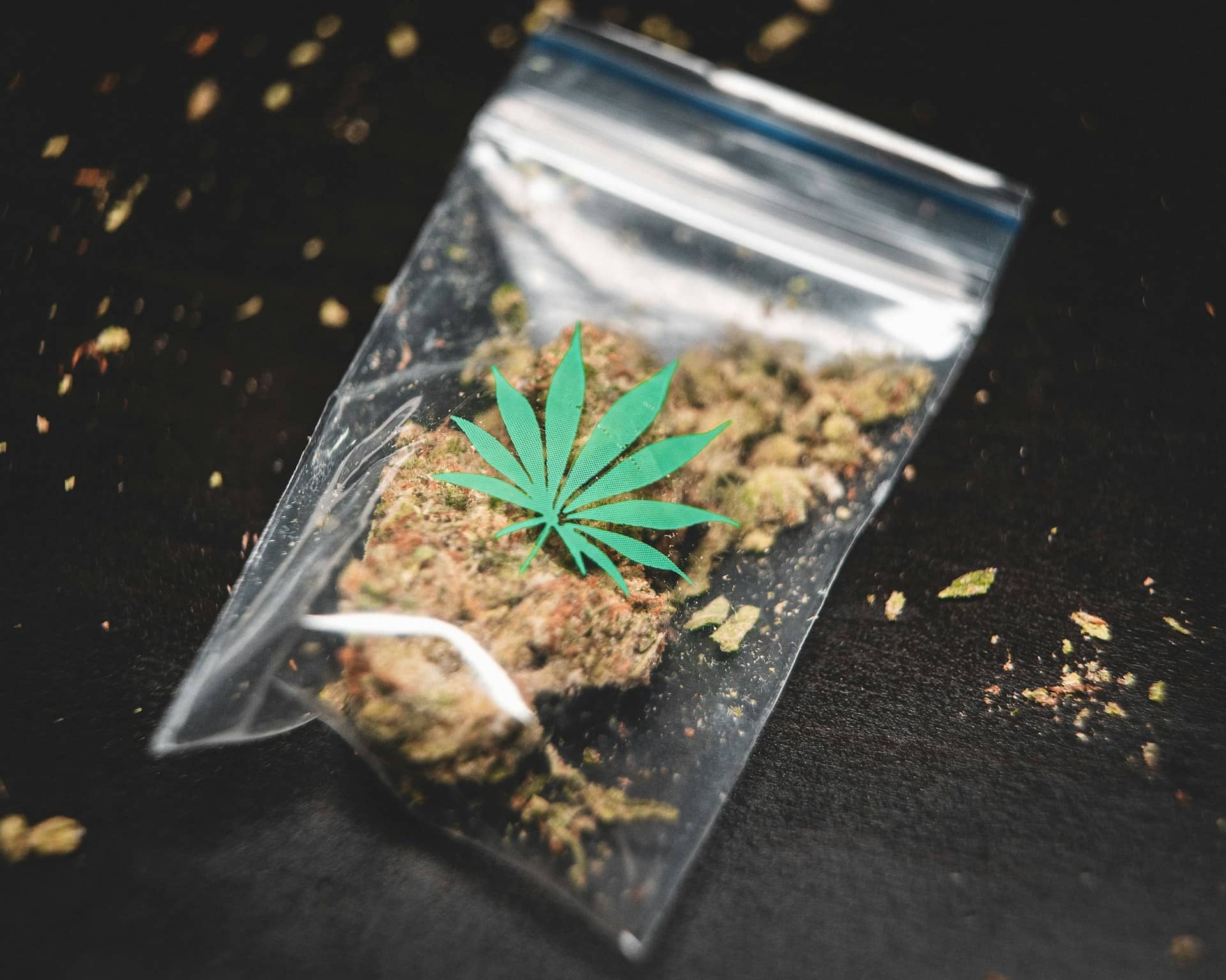 Cannabis flower in a plastic bag