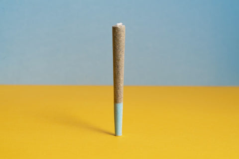 One pre-roll joint size on yellow and blue background