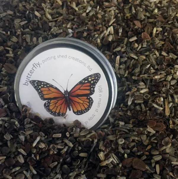BUTTERFLY TRINKET DISH - NEVER GIVE UP. SHOP