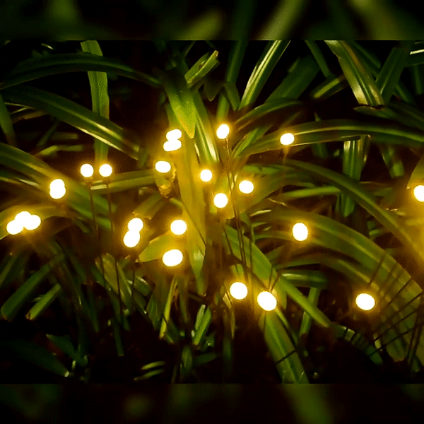 Solar LED Firefly Garden Light – HomeRelaxOfficial
