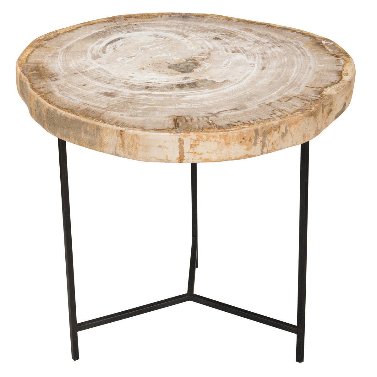 Salem Petrified Wood Accent Table