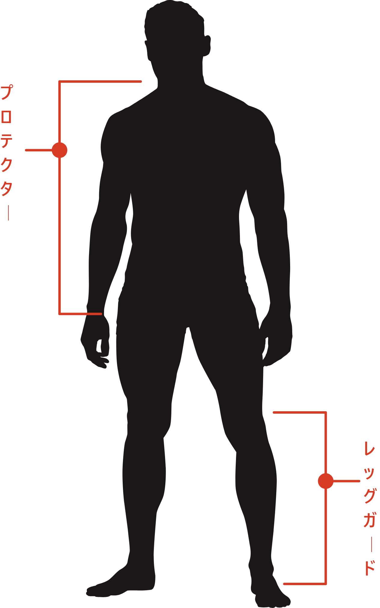 SIZE MEN