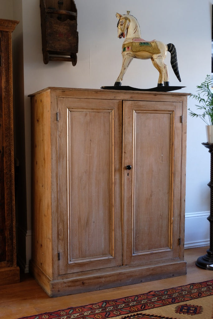19th Century Country house store cupboard