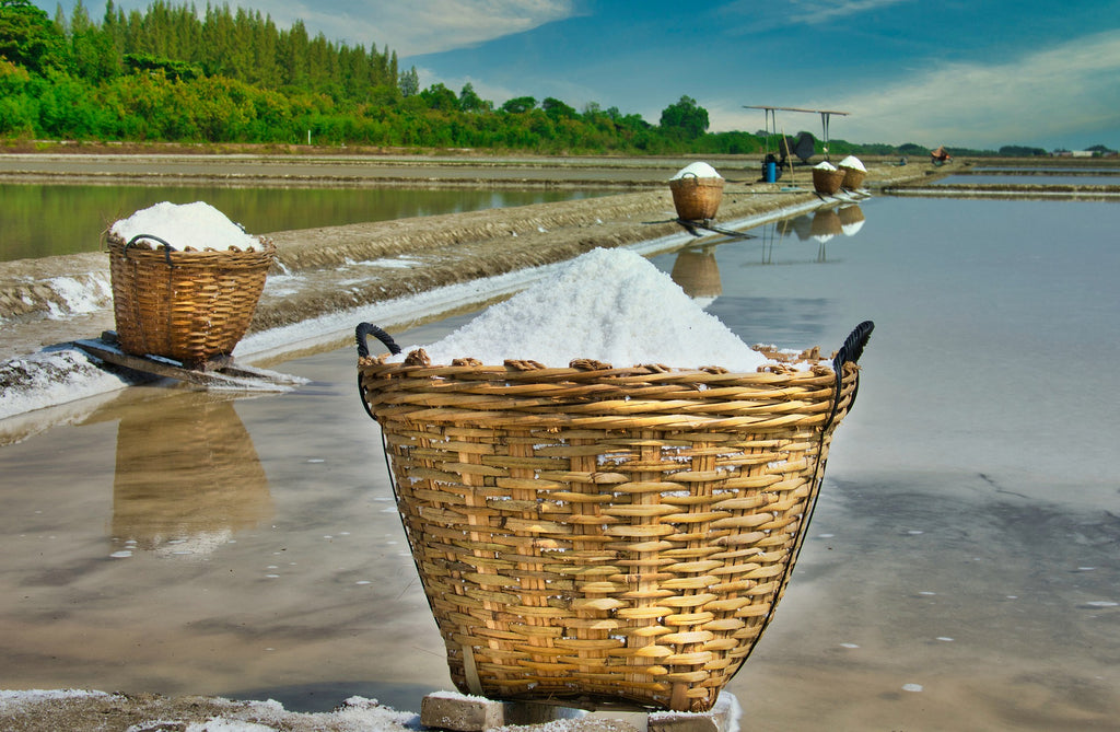 basket of sea salt 