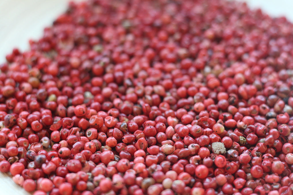 pink peppercorns ready to harvest 