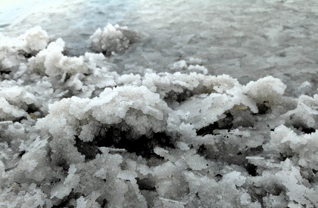 natural sea salt drying on a salt flat