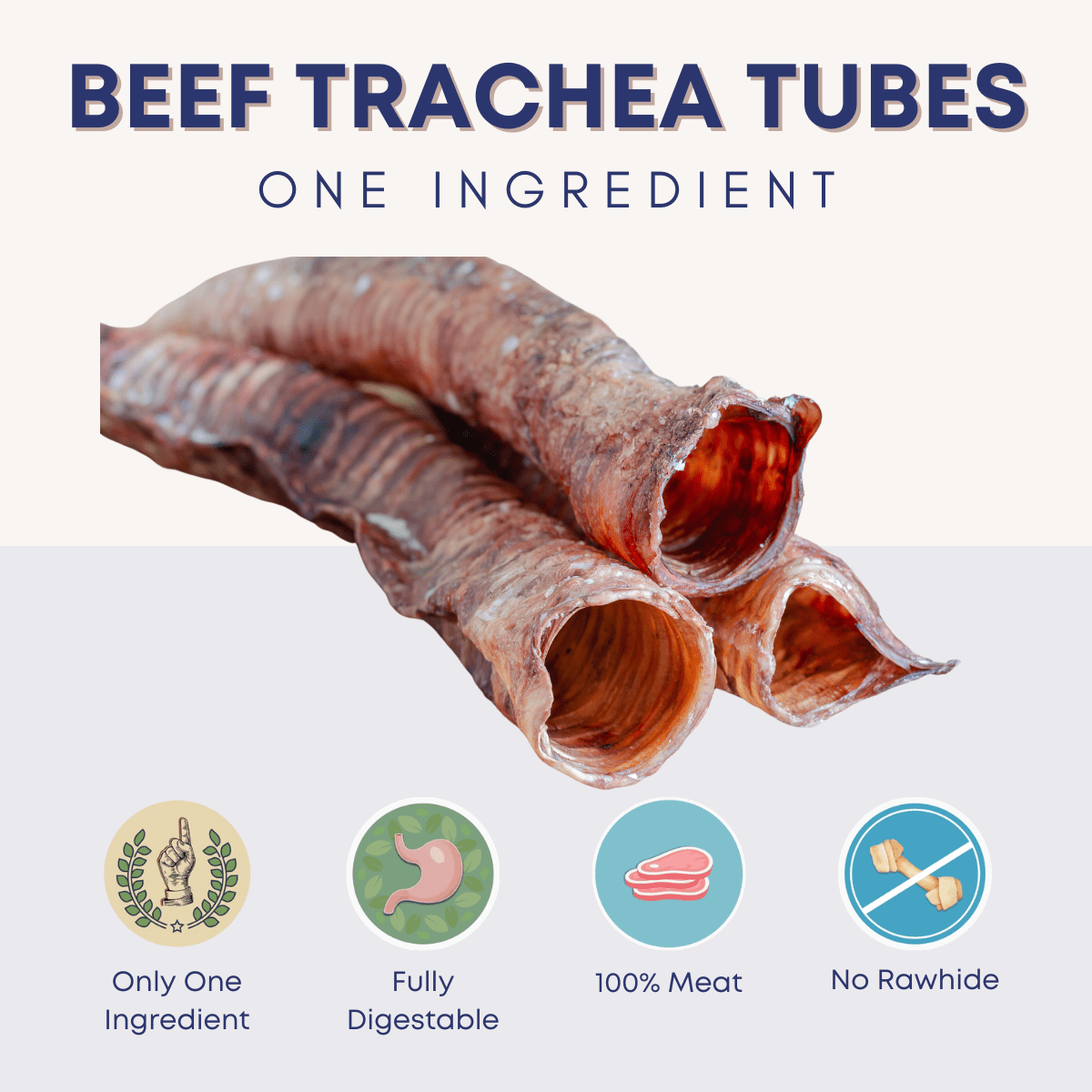 Image of Beef Trachea Tubes - 12 inch