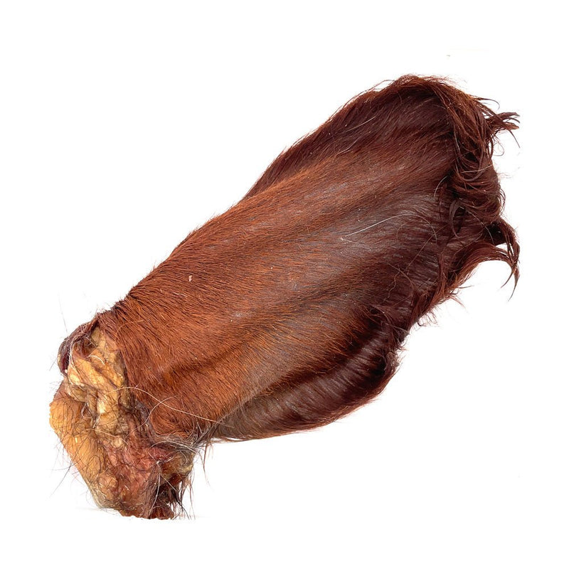 dehydrated cow ears with hair